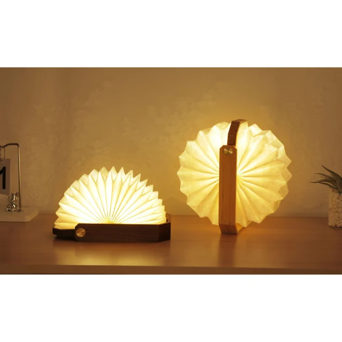 2 Lampes accordéons allumées