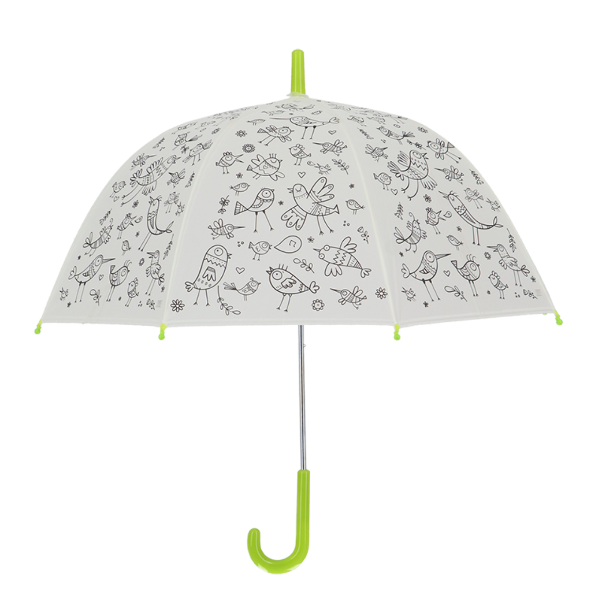 Parapluie oiseaux à peindre