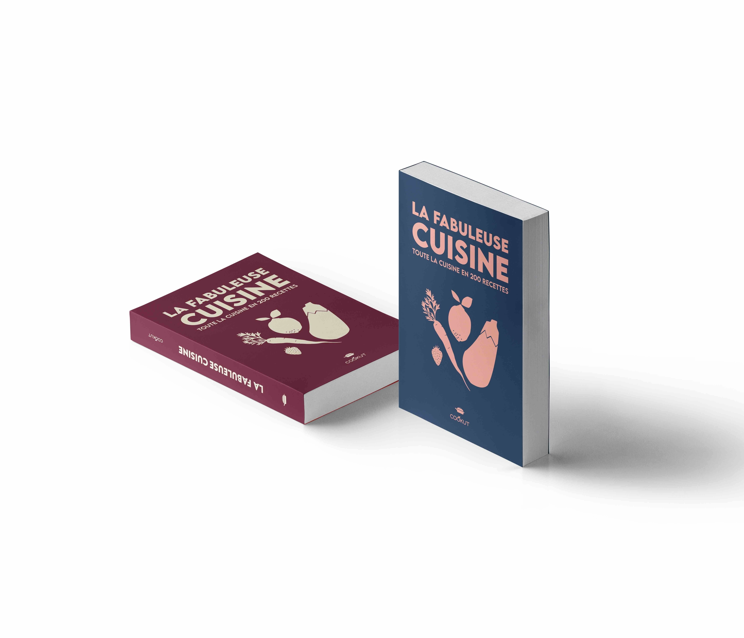 Livre de 200 recette pour la fabuleuse