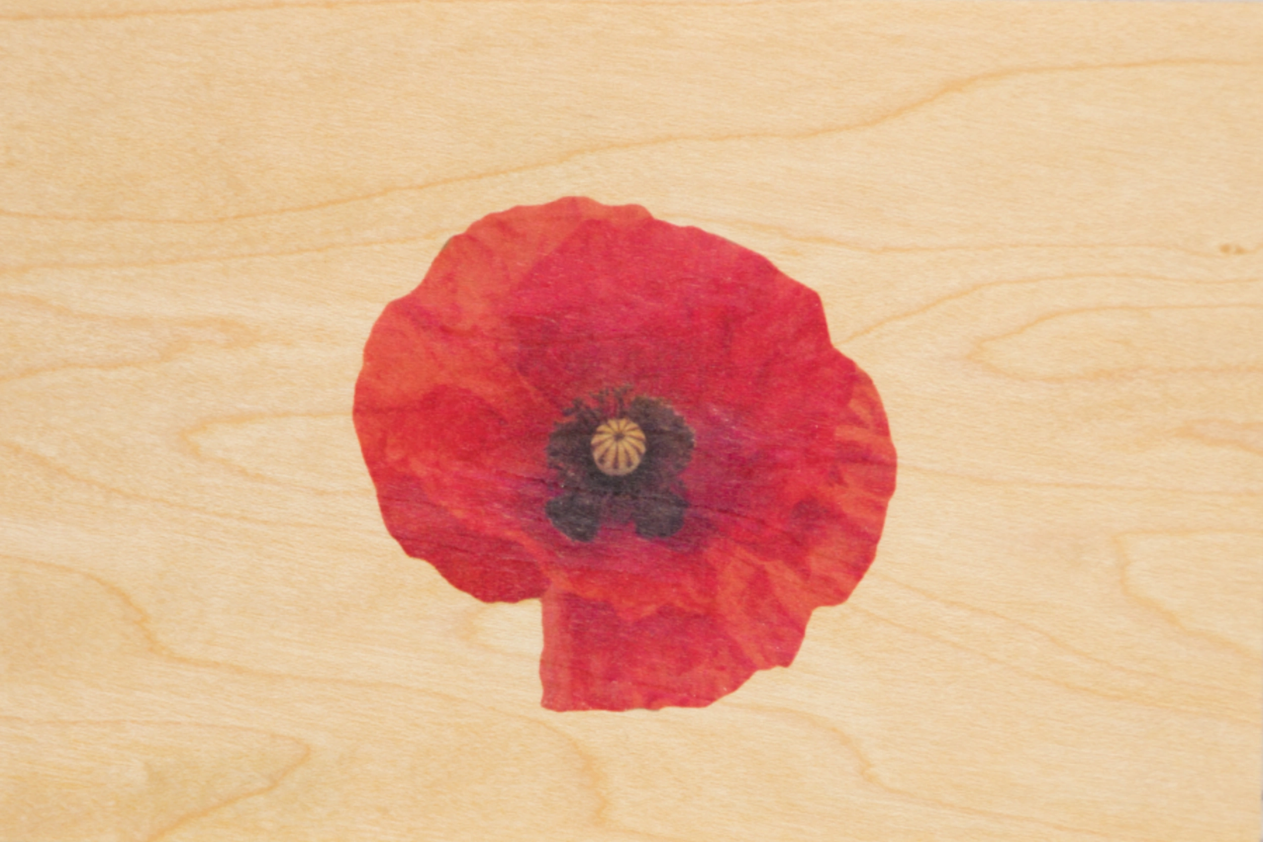 Carte postale en bois Coquelicot