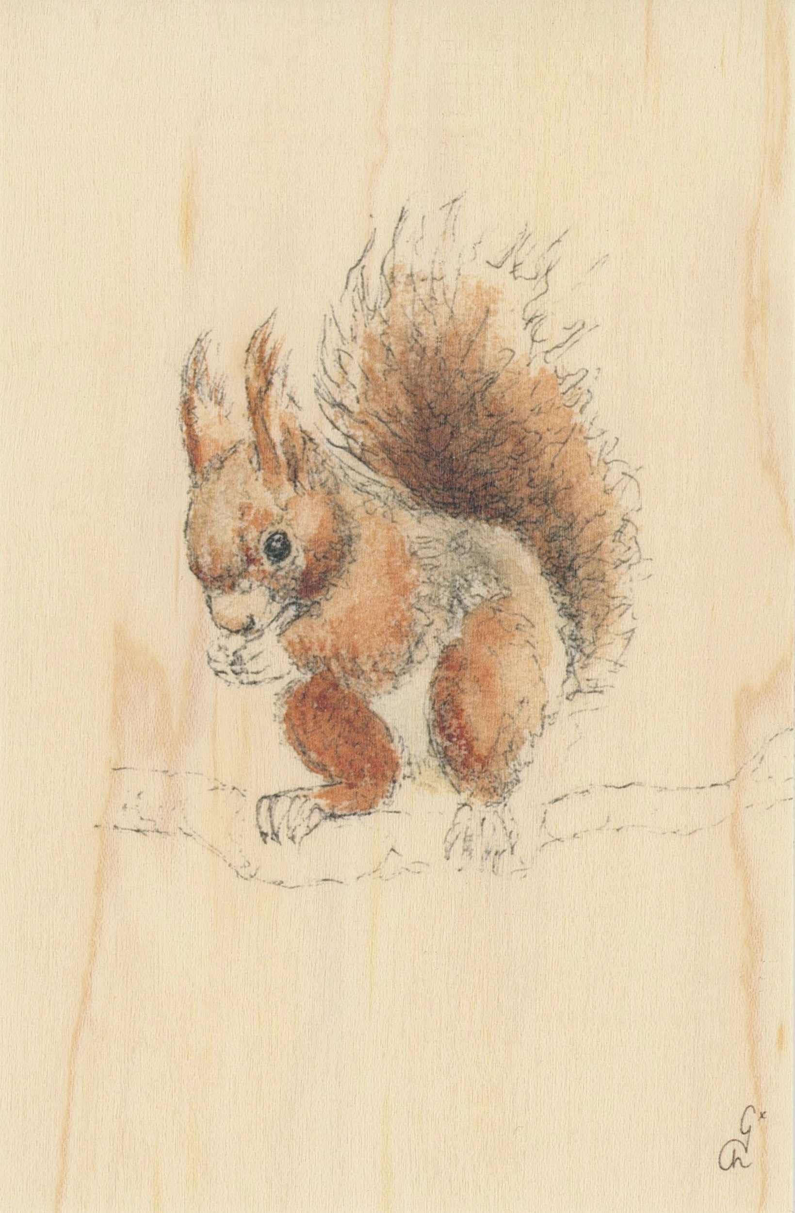 Carte postale en bois Ecureuil