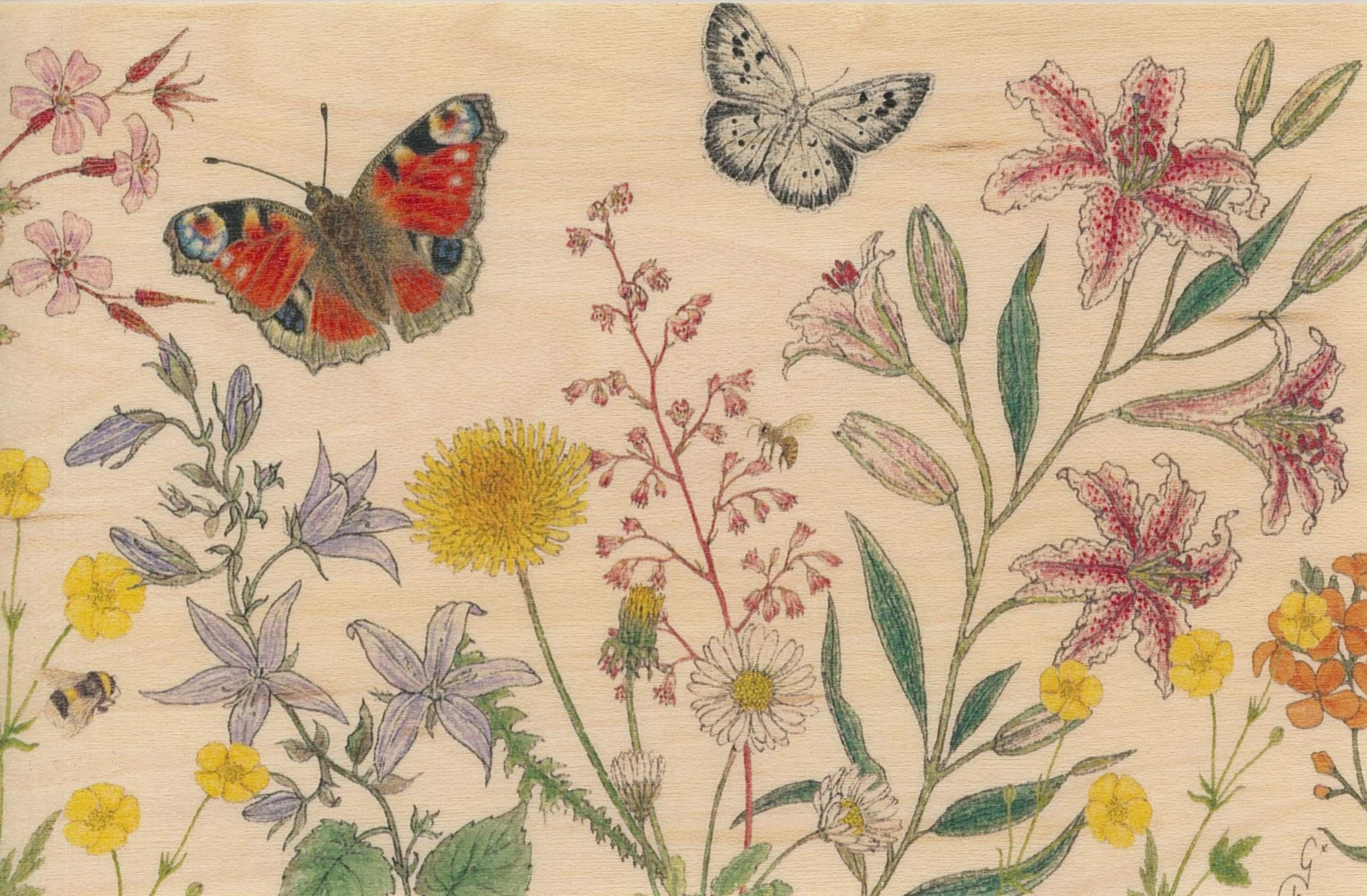 Carte postale en bois Papillons