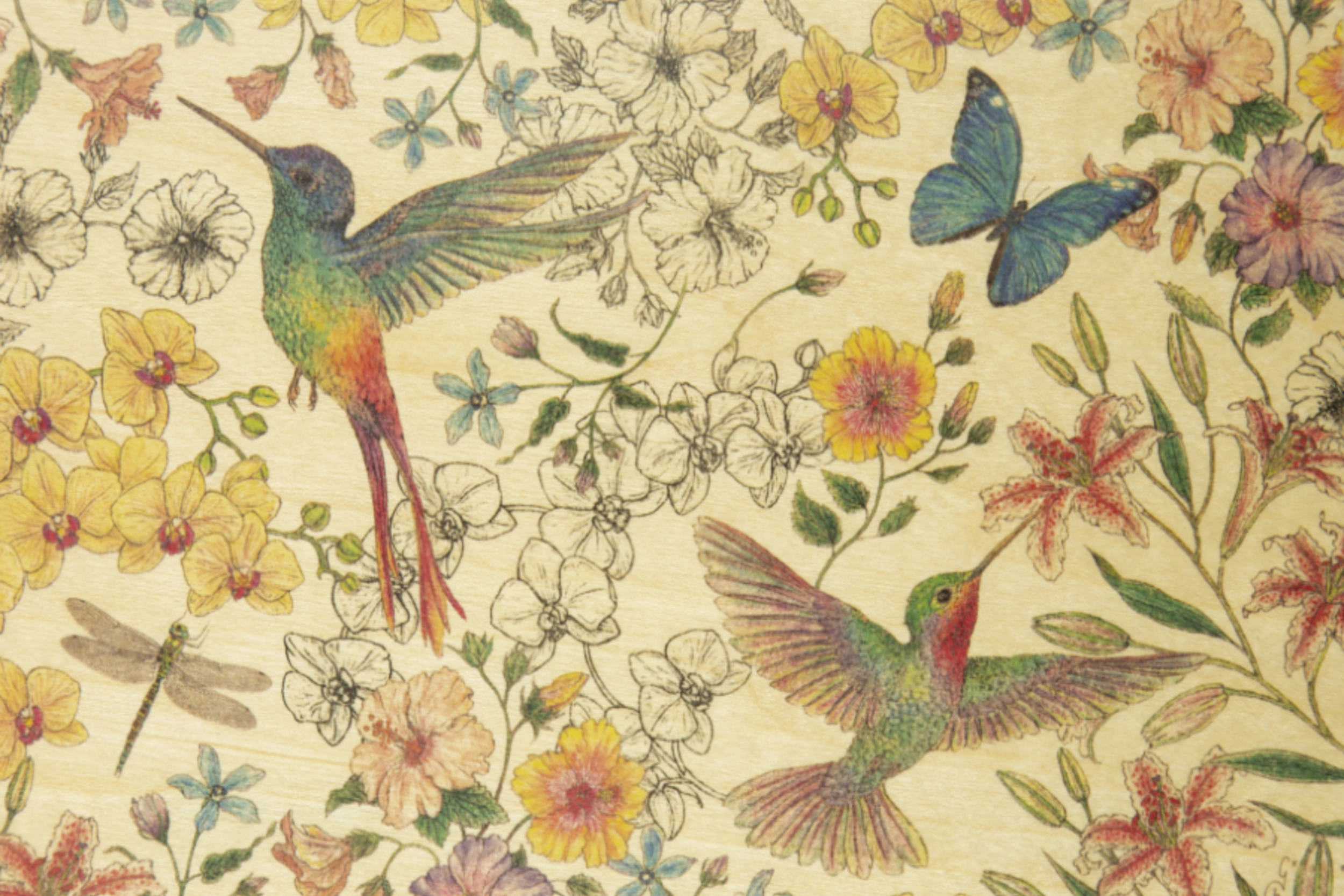 Carte postale en bois Colibris