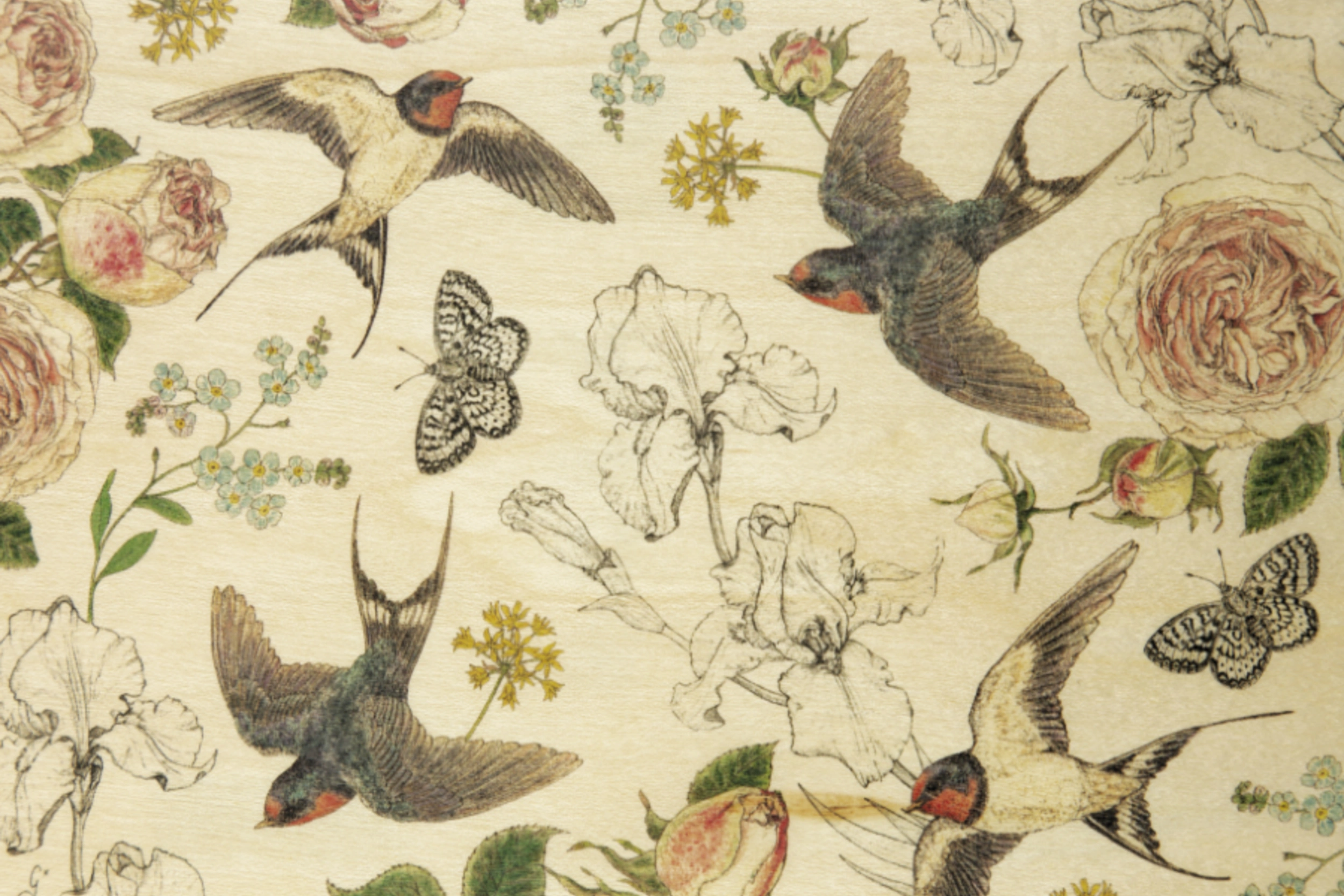 Carte postale en bois avec motif de 4 d\'hirondelels