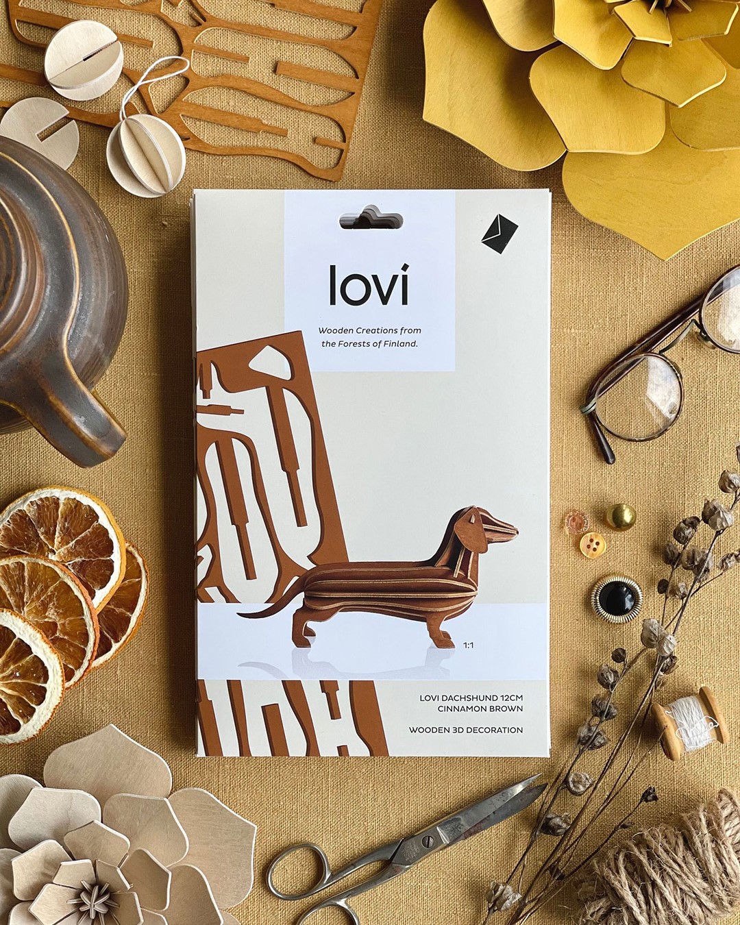 LOVI TECKEL CHEZ UGO ET LEA 5
