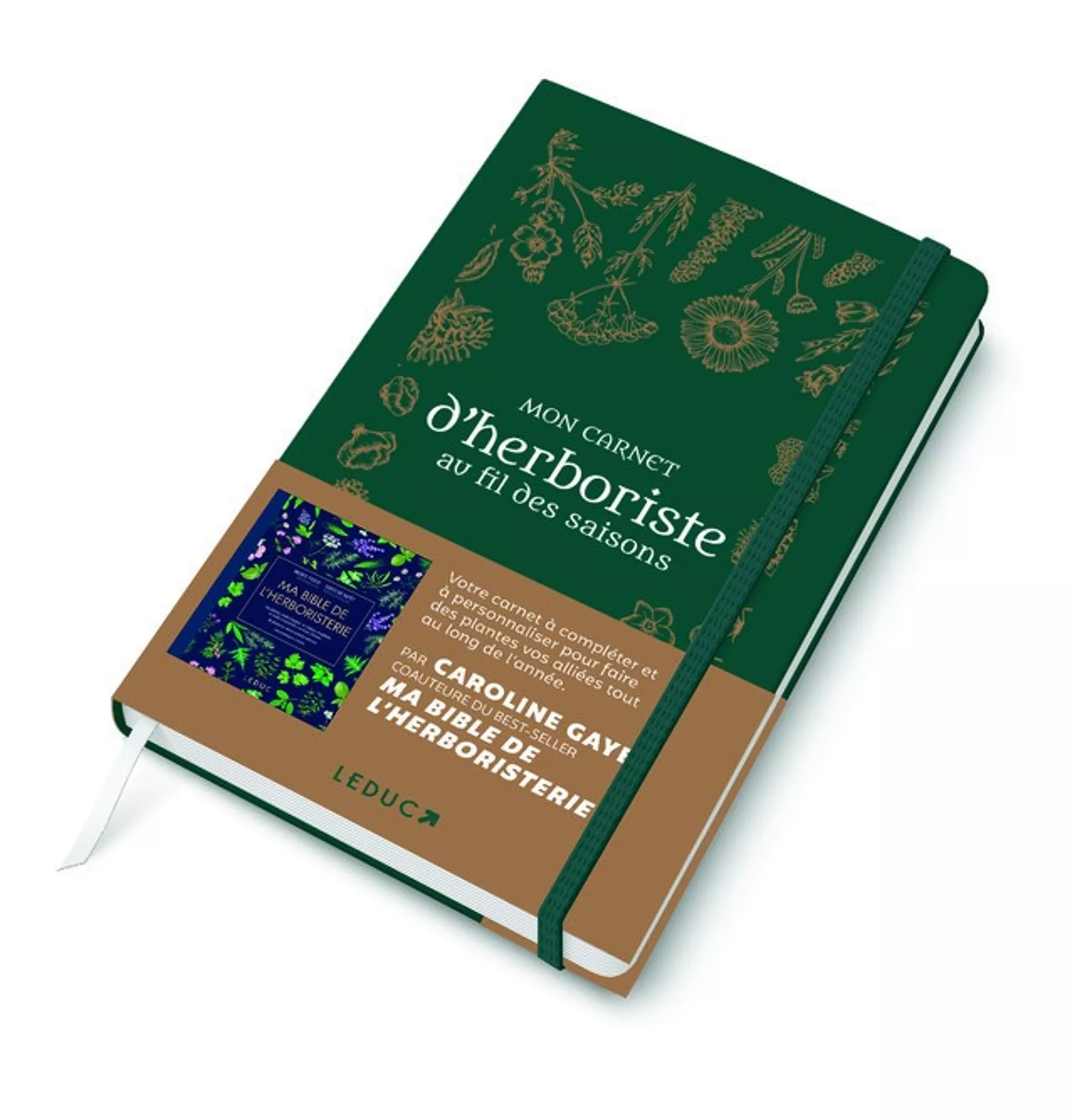 mon carnet d\'herboriste au fil des saisons