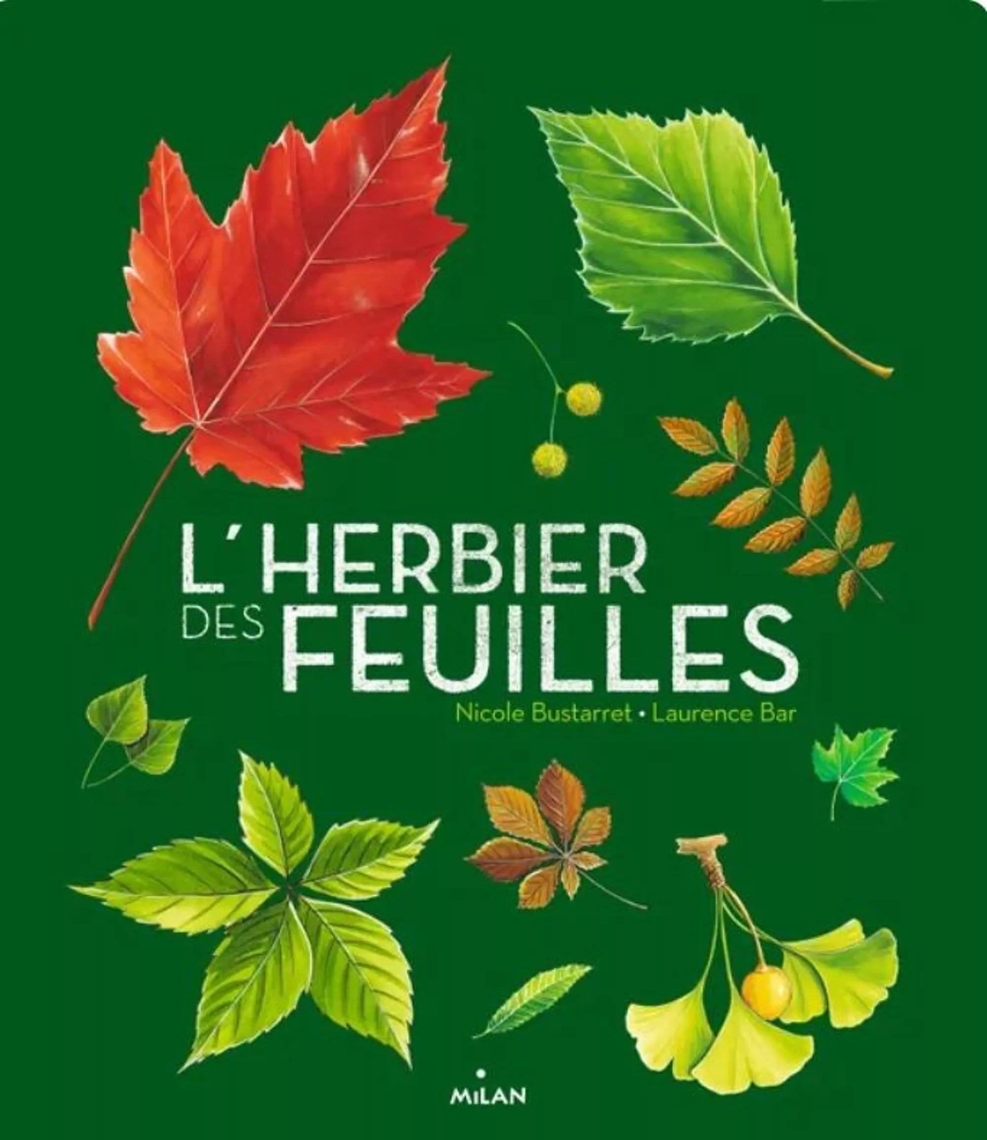Lherbier des feuilles / Livre d\'acvivités nature