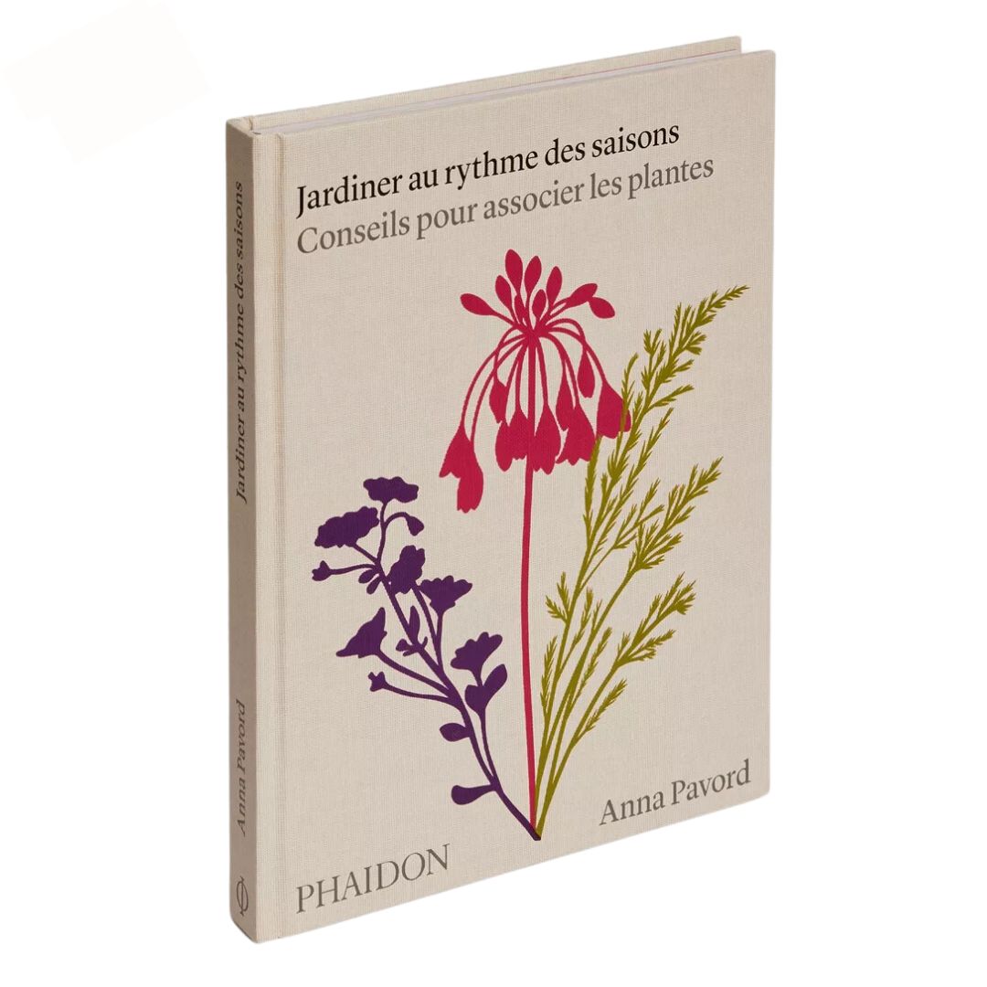 Jardiner au rythme des saisons : conseils pour associer les plantes
