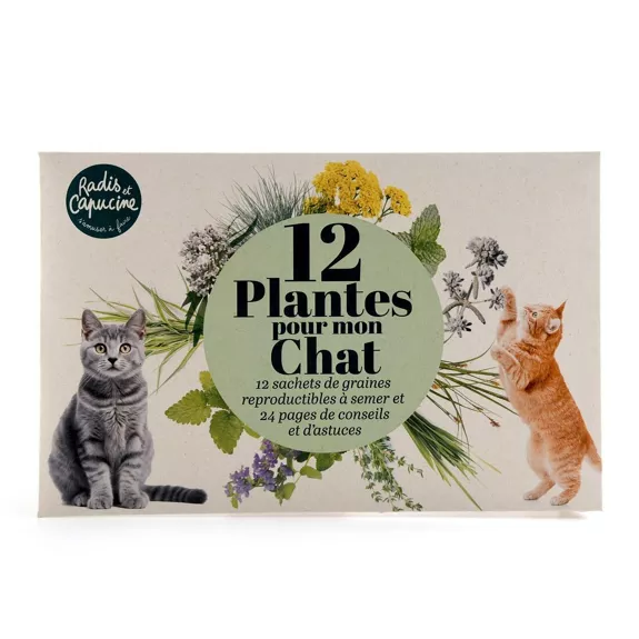 Légumes anciens : 12 sachets de graines et livret