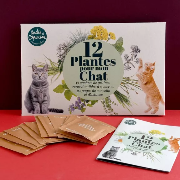 Légumes anciens : 12 sachets de graines et livret