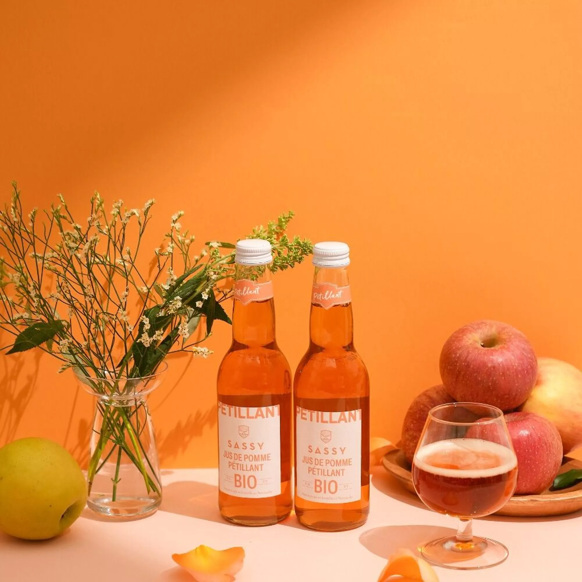 Jus de pomme Bio pétillant 33 cl