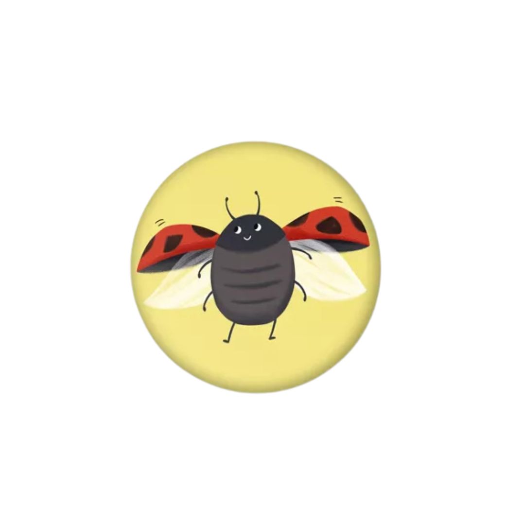 Magnet rond 37 mm Coccinelle / Marienkäfer