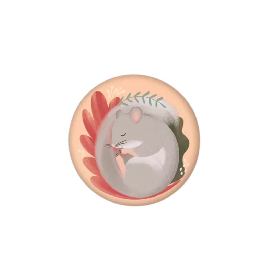 Magnet rond 37 mm Loir / Sienbenschläfer