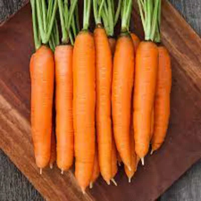 Graines bio : Carotte orange dolciva (nantaise améliorée)