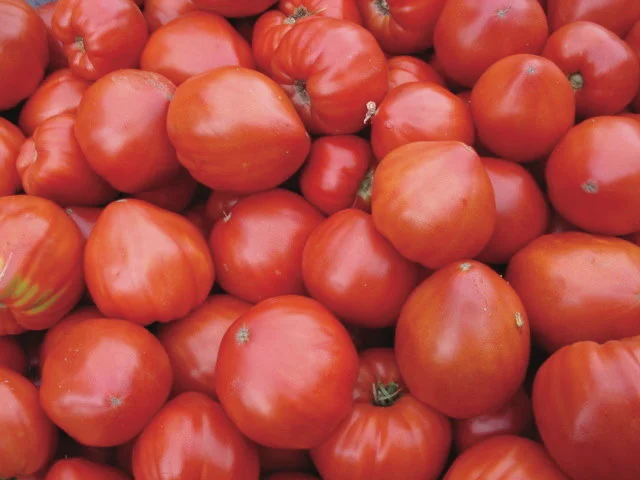 Graines bio : Tomate rouge mi saison cœur de bœuf géant reif red