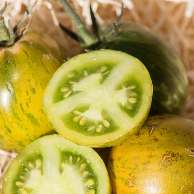 Graines bio : Tomate verte mi saison green zebra