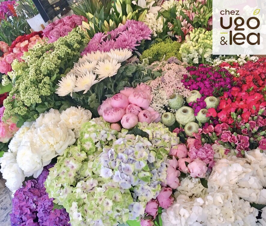 CHEZ UGO &amp; LÉA Artisans fleuristes fleurs &amp; flowers 5