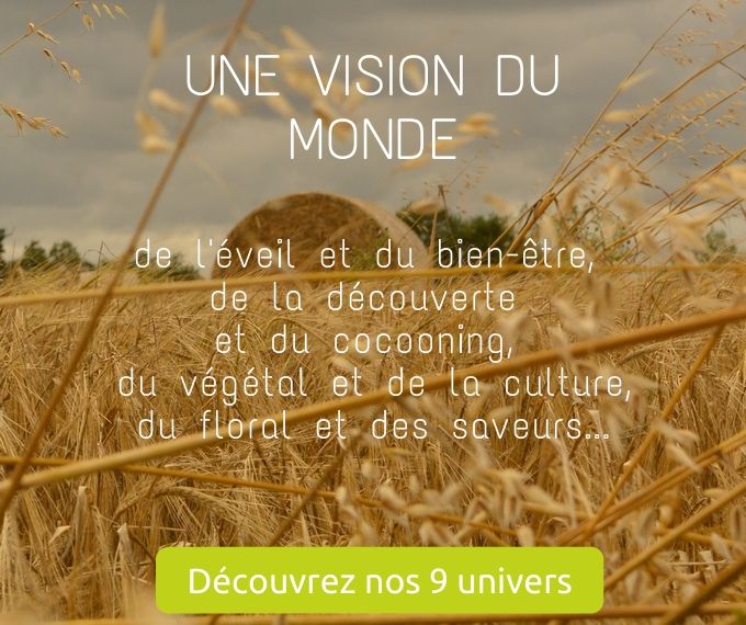 Découvrez nos 9 univers