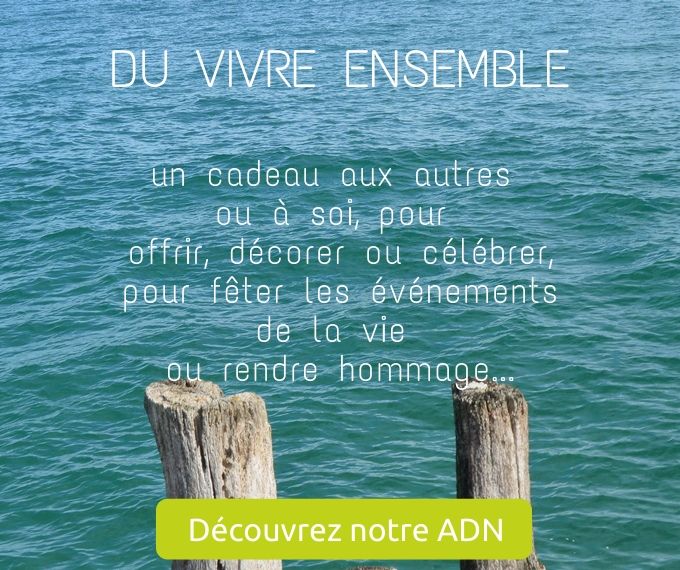 Découvrez notre ADN