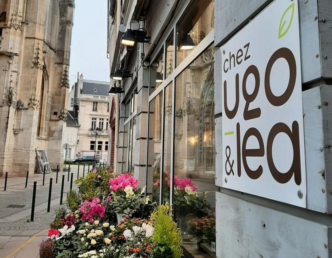 chez ugo et lea dreux fleuriste jardinerie urbaine cadeaux fleurs 4