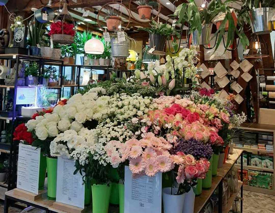 chez ugo et lea dreux fleuriste jardinerie urbaine cadeaux fleurs 5