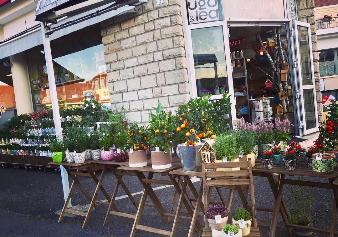 chez ugo et lea rambouillet jardinerie fleuriste cadeaux fleurs 1
