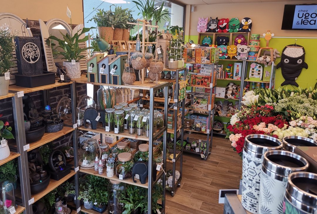 chez ugo et lea rambouillet jardinerie fleuriste cadeaux fleurs 5