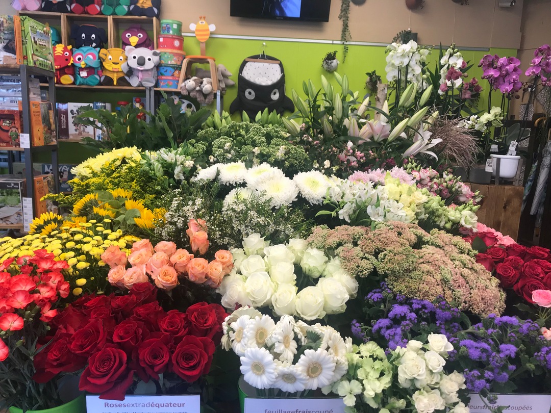 chez ugo et lea rambouillet jardinerie fleuriste cadeaux fleurs 4