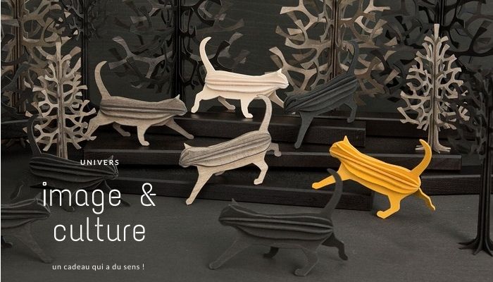 image & culture