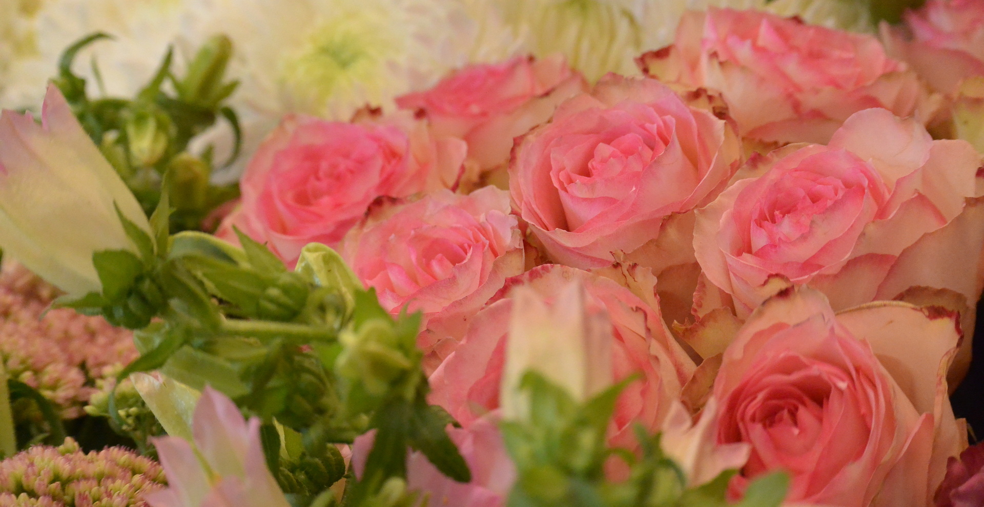 livraison fleurs plante Dreux Vernouillet 28 fleuriste