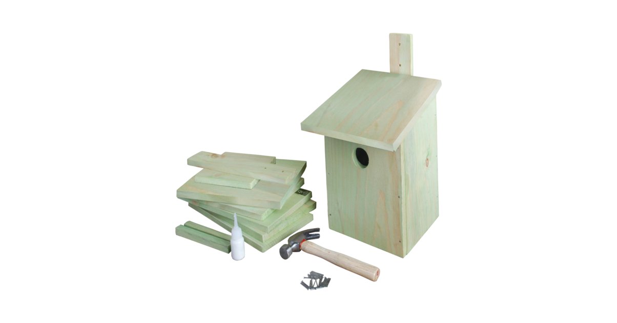 Maison Oiseaux Bricolage Enfants Adultes Kit De Construction Nichoir à Oiseaux En Bois - Projet Bricolage Enfants Et Adultes
