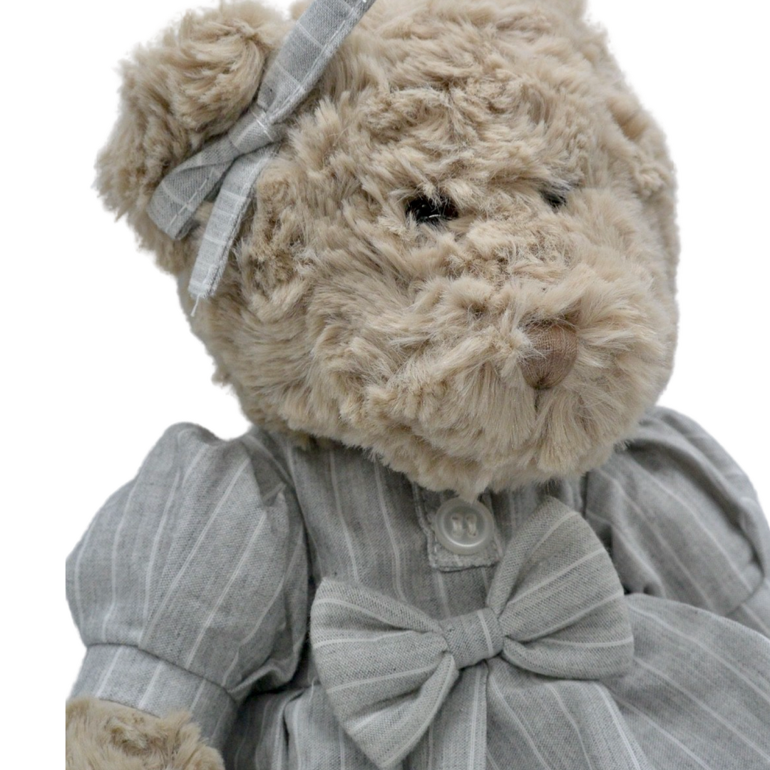 Images de Calin Ours Peluche - Téléchargement gratuit sur eepik