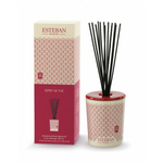 CHEZ UGO ET LEA bouquet-parfume-deco ESTEBAN (4)