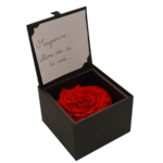 second flor rose eternelle rouge dans son ecrin rose des amoureux une idee cadeau saint valentin chez ugo et lea   (2)