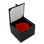 second flor rose eternelle rouge dans son ecrin rose des amoureux une idee cadeau saint valentin chez ugo et lea