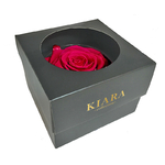 Roses éternelle XXL rouge Kiara chez ugo & léa 2