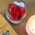 compostion florale rose eternelle rouge saint valentin. une idee cadeau chez ugo et lea realisee par un artisan fleuriste à dreux et rambouillet (2)