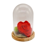 compostion florale rose eternelle rouge saint valentin. une idee cadeau chez ugo et lea realisee par un artisan fleuriste à dreux et rambouillet (1)