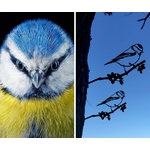 metalbird mesange bleue en fer une idee cadeau chez ugo et lea (11)