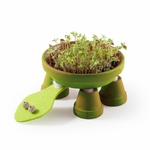 radis et capucine coffret-animaux-en-pots-terre-cuite une idee cadeau chez ugo et lea (5)