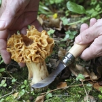 opinel couteau numero à champignon et son etui une idee cadeau chez ugo et lea (5)