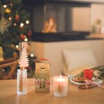 esteban bougie et bouquet parfumee the et pain d epices une idee cadeau chez ugo et lea (10)
