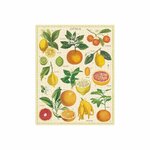 cavallini letterbox puzzle agrumes adulte 1000 pieces une idee cadeau chez ugo et lea (3)
