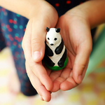 mako-moulages-coffret-especes-protegees une idee cadeau enfant chez ugo et lea (1)