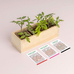 resetea mini potager auto culture tomates une idee cadeau pret a pousser chez ugo et lea 3