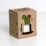 Mrs madame Cactus graines opuntia Chez Ugo et Léa 4