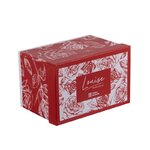 table passion coffret-theiere-07l-avec-filtre-louise une idee cadeau chez ugo et lea  (3)