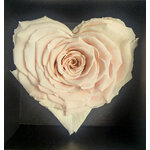 Rose de couleur rose clair en forme de coeur