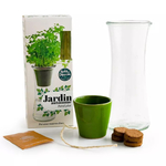 les éléments du kit basilic grand vert