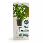 boîte de basilic grand vert